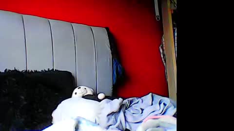 Snapshot of madelainee_buk chatting on December 2024 08:26:02 PM Buk online show from December 2024 08:26:02 PM