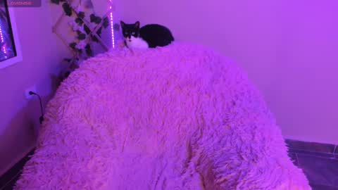 Snapshot of madelinebenet chatting on September 2025 01:11:01 AM Madeline online show from September 2025 01:11:01 AM