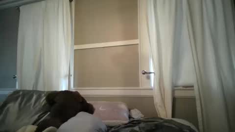 Snapshot of madisonfelicia chatting on October 2025 07:25:02 PM Madison online show from October 2025 07:25:02 PM