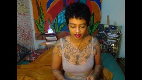 malaika online show from September 2025 10:09:01 PM