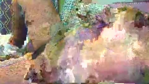 maleficientoffer online show from October 2025 12:52:02 AM