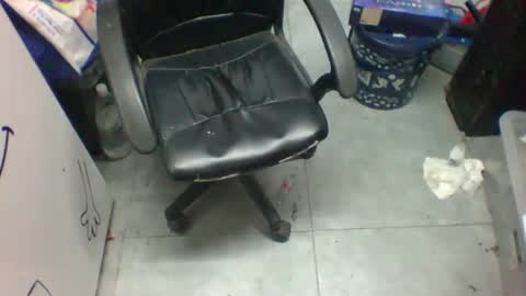 malteser496844 online show from December 2024 11:34:02 AM