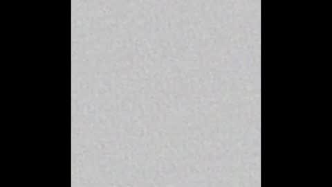 Maple online show from February 2025 08:45:02 PM