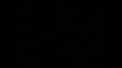 Elle online show from September 2025 05:29:02 PM