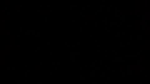 Elle online show from October 2025 12:11:02 AM