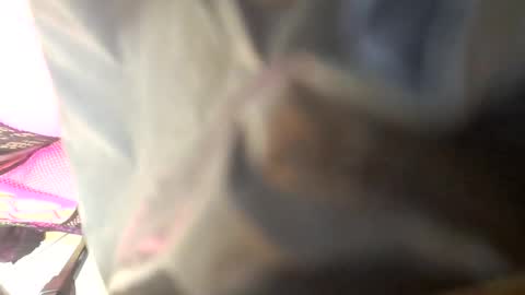 Snapshot of maria666cd chatting on October 2025 08:45:02 AM Maria Magdalena online show from October 2025 08:45:02 AM