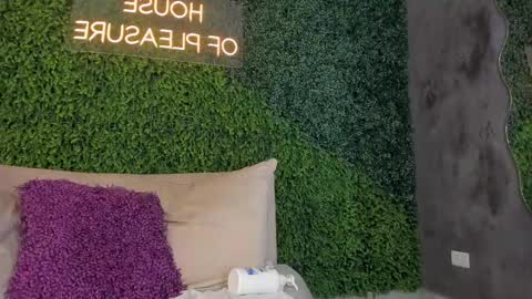 Maria Pettit online show from February 2025 03:42:02 PM