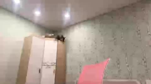 Marilu wanna play  Meow online show from November 2025 04:29:01 PM