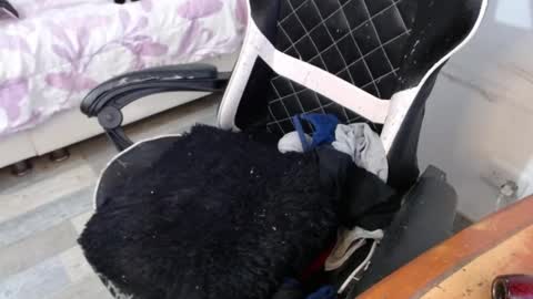 Snapshot of marilyn_lil chatting on February 2025 08:44:01 PM Marilyn online show from February 2025 08:44:01 PM