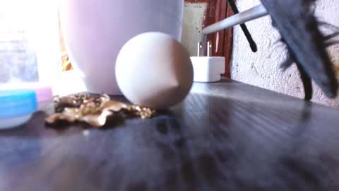 Snapshot of mariposa_911 chatting on March 2025 09:07:01 AM LEAH online show from March 2025 09:07:01 AM