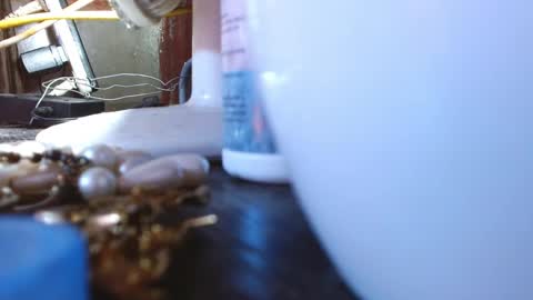 Snapshot of mariposa_911 chatting on March 2025 04:05:02 AM LEAH online show from March 2025 04:05:02 AM