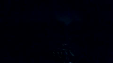 mark7062012 online show from October 2025 10:39:02 AM