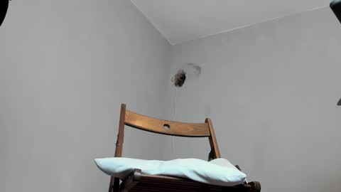 Snapshot of markwaynescr chatting on October 2025 12:06:01 PM MARK online show from October 2025 12:06:01 PM