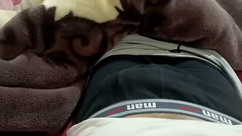 marocreda33 online show from January 2025 08:53:01 PM