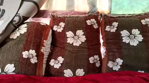 marocreda33 online show from February 2025 10:20:02 AM