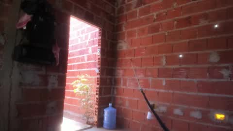 MAX online show from January 2025 03:39:01 PM