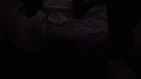 Snapshot of martamoontrans chatting on October 2025 05:06:02 PM martamoontrans online show from October 2025 05:06:02 PM