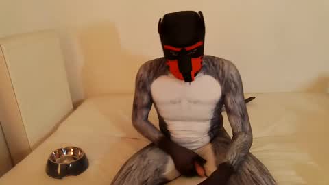 martin_ni online show from February 2025 11:53:01 AM