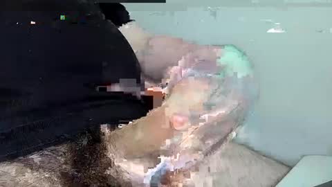 mas12345678910 online show from December 2024 04:29:02 PM