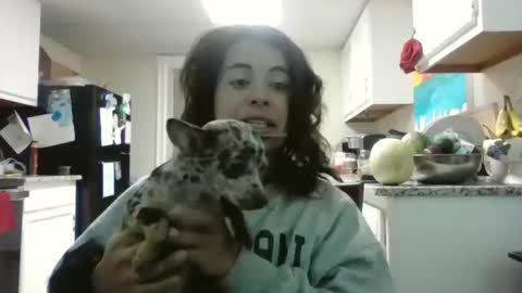 Mastress Luna online show from November 2025 09:24:02 PM