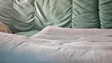 Snapshot of mathisdavid6757 chatting on November 2025 08:56:01 AM mathisdavid6757 online show from November 2025 08:56:01 AM