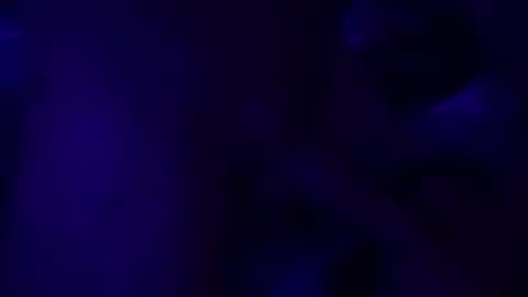 SilverFox online show from November 2025 10:36:02 AM