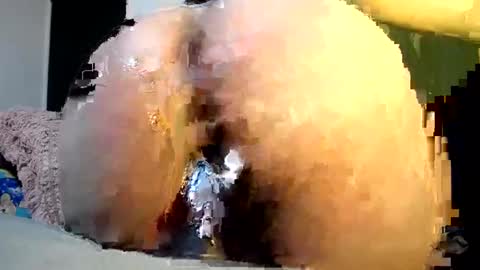 cata online show from December 2024 05:31:01 AM