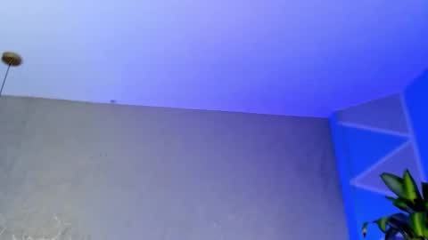 Medusa Ts online show from November 2025 04:56:02 AM