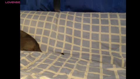 Snapshot of meg4nmiau chatting on February 2025 02:01:02 AM Meg4n Miauuuu online show from February 2025 02:01:02 AM