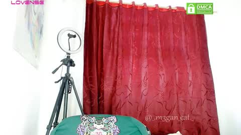 megan_cat online show from November 2025 01:44:02 PM