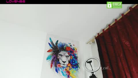 megan_cat online show from November 2025 10:52:02 PM