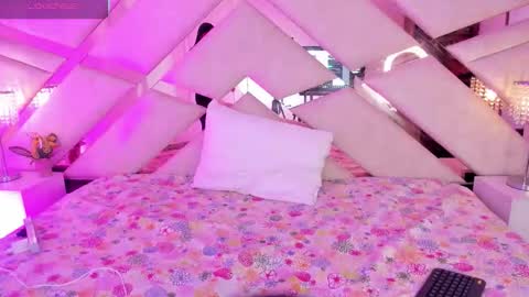     online show from November 2025 12:26:01 PM