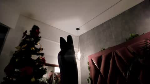    online show from December 2024 03:53:02 AM