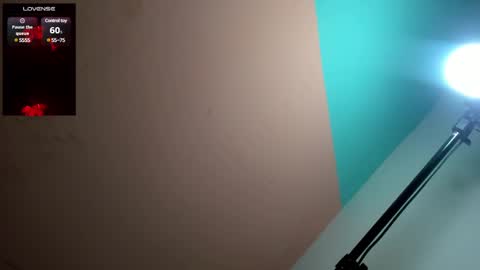 Snapshot of megan_kis9 chatting on December 2024 09:04:02 PM megan online show from December 2024 09:04:02 PM