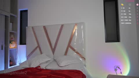 Snapshot of megancute2 chatting on December 2024 07:32:02 PM Luz -----OF mgluz2--- Next stream 1122024 1400Colombian time online show from December 2024 07:32:02 PM