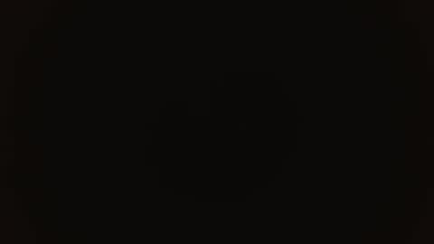 Snapshot of melani_bear chatting on November 2025 02:29:02 PM MELANI online show from November 2025 02:29:02 PM