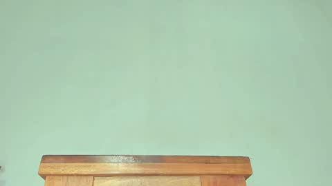 Snapshot of melania_browis chatting on January 2025 01:03:01 PM Melania online show from January 2025 01:03:01 PM