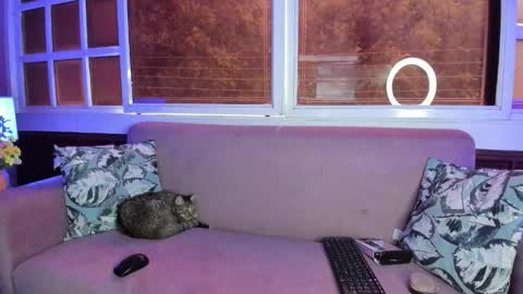 Snapshot of melanieroux chatting on October 2025 07:36:02 PM Melanie Roux online show from October 2025 07:36:02 PM