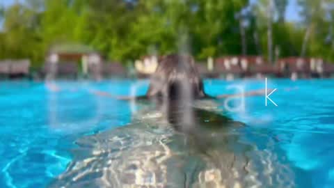 Adel online show from December 2024 03:27:01 PM