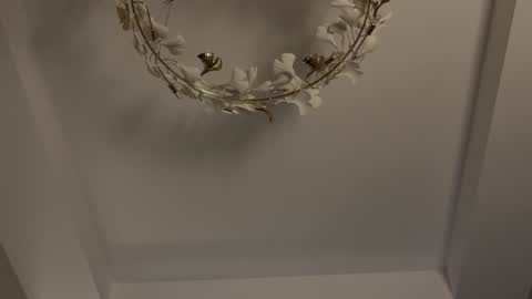 Adel online show from January 2025 07:16:02 PM