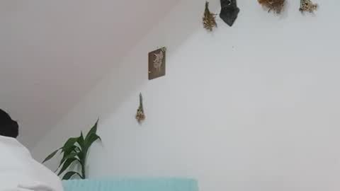 melissa online show from November 2025 10:17:01 AM