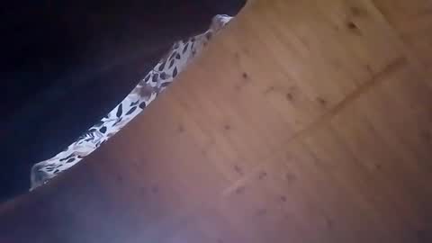 mellodiego760 online show from October 2025 03:51:02 AM