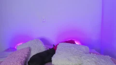    online show from March 2025 04:56:02 AM