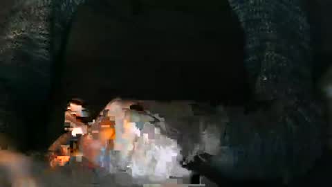 Mens En Schuw Human and Shy online show from January 2025 03:03:01 PM