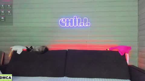 NIKKY  STIVE     Every day from 1000  to 200  EST time. online show from December 2024 05:10:02 AM