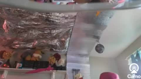 gurlnips online show from December 2024 09:04:02 PM