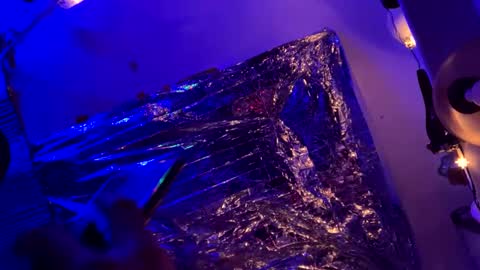 gurlnips online show from February 2025 03:56:01 PM