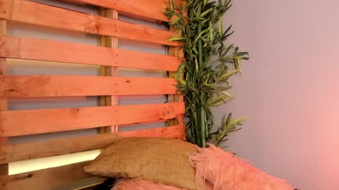 Merida  online show from January 2025 04:06:01 PM