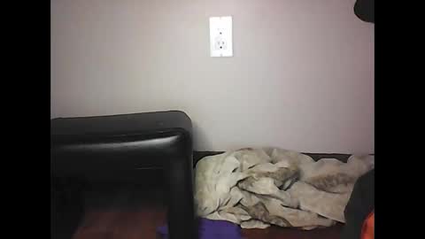 mi45419 online show from November 2025 07:05:01 PM