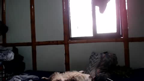 Mia  Sam online show from October 2025 04:05:02 PM